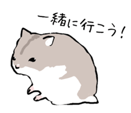 Djungarian Hamster sticker #3077184