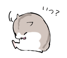 Djungarian Hamster sticker #3077190