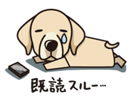 iinu - Labrador Retriever sticker #3077396