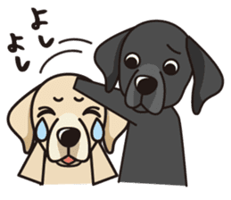 iinu - Labrador Retriever sticker #3077404