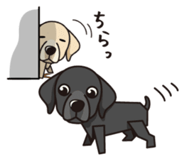 iinu - Labrador Retriever sticker #3077429