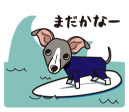 iinu - Italian Greyhound sticker #3077756
