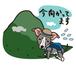 iinu - Italian Greyhound sticker #3077759