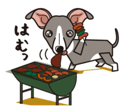 iinu - Italian Greyhound sticker #3077762