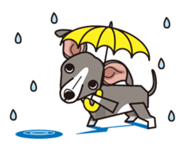 iinu - Italian Greyhound sticker #3077767