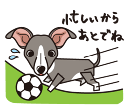 iinu - Italian Greyhound sticker #3077770