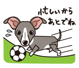 iinu - Italian Greyhound sticker #3077770