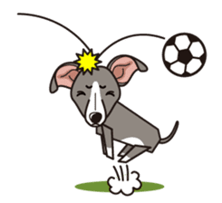 iinu - Italian Greyhound sticker #3077771