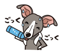 iinu - Italian Greyhound sticker #3077773