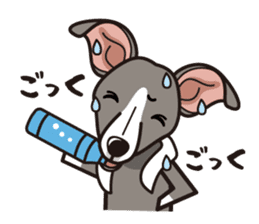 iinu - Italian Greyhound sticker #3077773