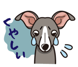 iinu - Italian Greyhound sticker #3077774