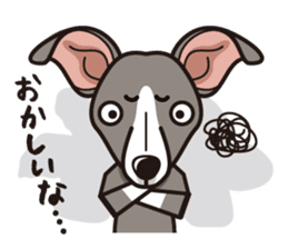 iinu - Italian Greyhound sticker #3077776
