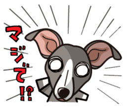 iinu - Italian Greyhound sticker #3077777