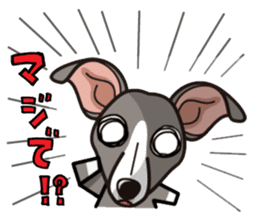 iinu - Italian Greyhound sticker #3077777