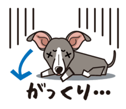 iinu - Italian Greyhound sticker #3077778