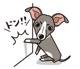 iinu - Italian Greyhound sticker #3077780
