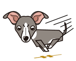 iinu - Italian Greyhound sticker #3077782