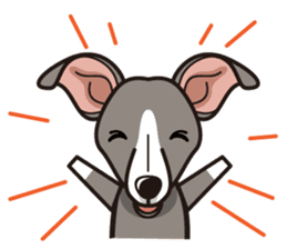 iinu - Italian Greyhound sticker #3077785