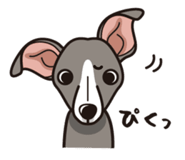 iinu - Italian Greyhound sticker #3077786