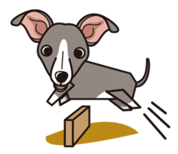 iinu - Italian Greyhound sticker #3077787
