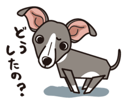 iinu - Italian Greyhound sticker #3077789