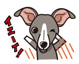iinu - Italian Greyhound sticker #3077791