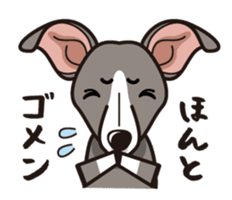 iinu - Italian Greyhound sticker #3077792
