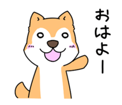 Shiba Inu! sticker #3078915