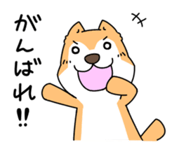 Shiba Inu! sticker #3078919