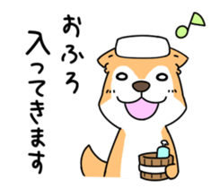 Shiba Inu! sticker #3078921