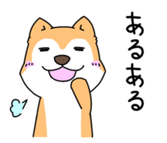 Shiba Inu! sticker #3078922
