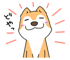 Shiba Inu! sticker #3078924