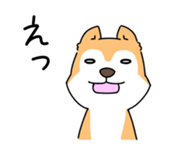 Shiba Inu! sticker #3078926