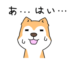 Shiba Inu! sticker #3078927
