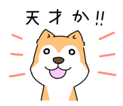 Shiba Inu! sticker #3078928