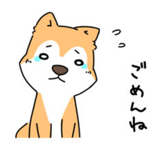 Shiba Inu! sticker #3078932