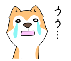 Shiba Inu! sticker #3078933