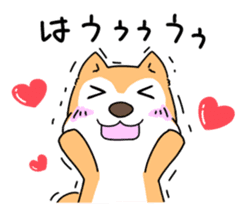 Shiba Inu! sticker #3078934