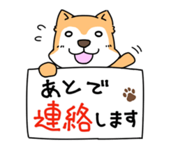 Shiba Inu! sticker #3078938