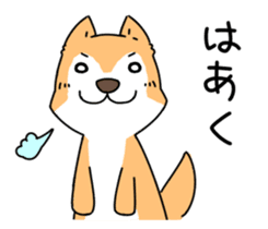 Shiba Inu! sticker #3078944