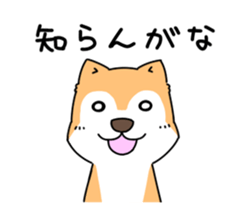 Shiba Inu! sticker #3078946