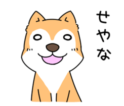 Shiba Inu! sticker #3078950