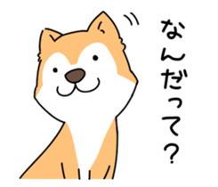 Shiba Inu! sticker #3078951