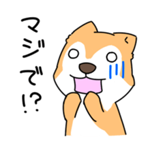 Shiba Inu! sticker #3078952