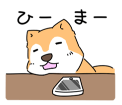 Shiba Inu! sticker #3078954
