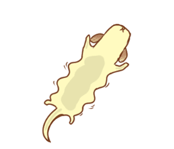 Slug dog sticker #3079639