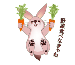 Playful rabbits sticker #3079790