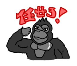 GorillaGorillaGorilla 2 sticker #3085141