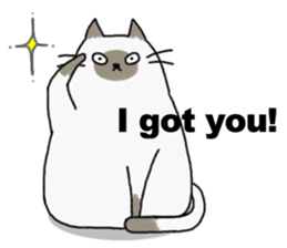 Freedom Cats! sticker #3089487