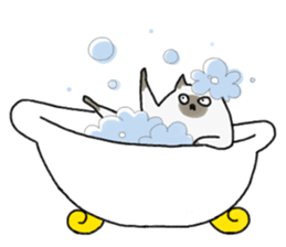 Freedom Cats! sticker #3089520